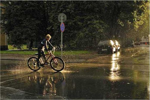 Олег Ермаков - Покинутые или Безумцы