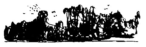 Глеб Голубев - Следствие сквозь века