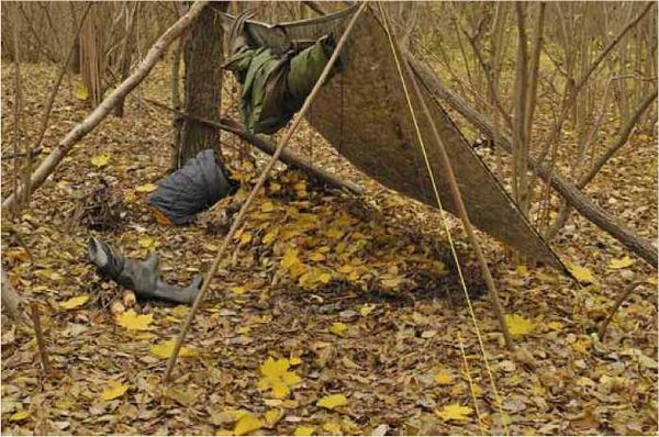 Олег Ермаков - Покинутые или Безумцы