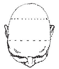 Наоми Тикл - Лицо - зеркало души. Физиогномика для всех