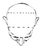 Наоми Тикл - Лицо - зеркало души. Физиогномика для всех