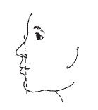 Наоми Тикл - Лицо - зеркало души. Физиогномика для всех