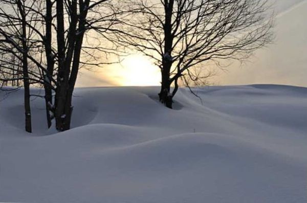 Олег Ермаков - Покинутые или Безумцы