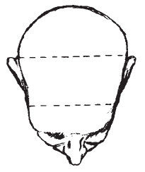Наоми Тикл - Лицо - зеркало души. Физиогномика для всех
