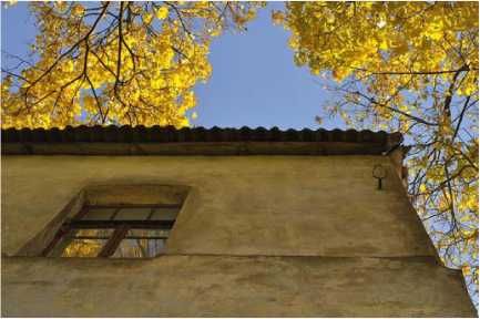 Олег Ермаков - Покинутые или Безумцы