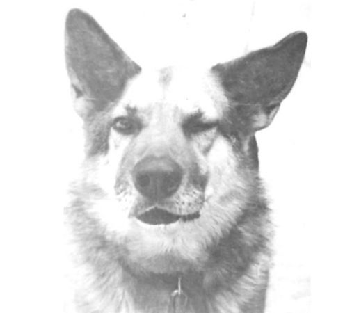 Александр Русанов - Интернетки