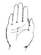 Наоми Тикл - Лицо - зеркало души. Физиогномика для всех