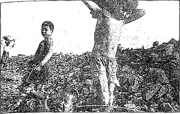 Клаус Вернер, Ганс Вайс - Черная книга корпораций