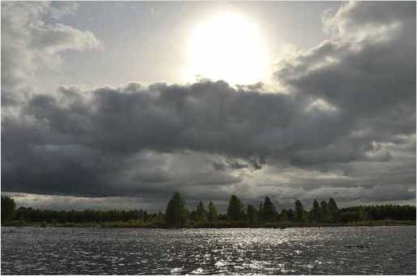 Олег Ермаков - Покинутые или Безумцы