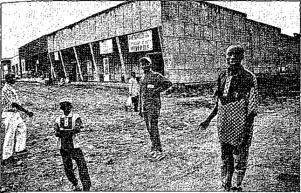 Клаус Вернер, Ганс Вайс - Черная книга корпораций