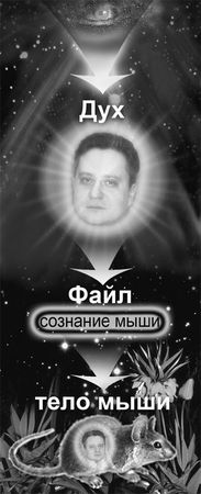 Эрнст Мулдашев - Матрица жизни на Земле