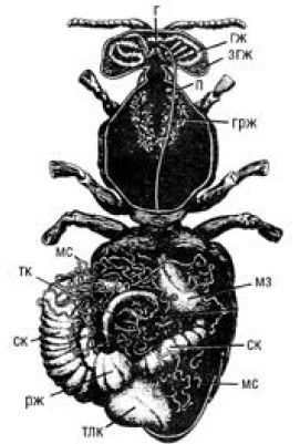 Валерий Корж - Полный справочник пчеловода