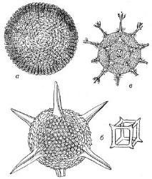 Михаил Кутушов - Зеркальные болезни. Рак, диабет, шизофрения, аллергия