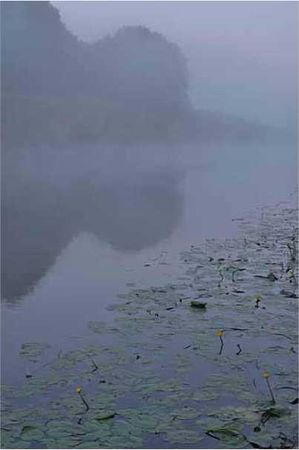 Олег Ермаков - Покинутые или Безумцы