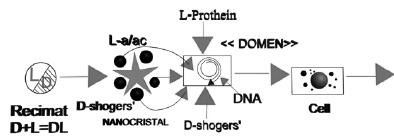 Зеркальные болезни. Рак, диабет,...