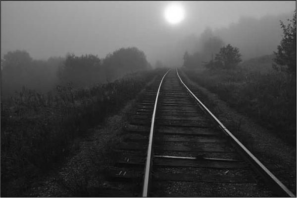 Олег Ермаков - Покинутые или Безумцы