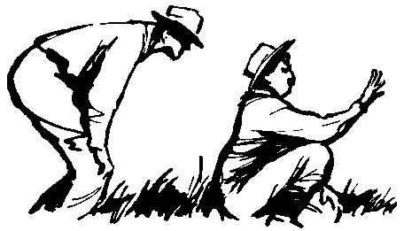 Глеб Голубев - Следствие сквозь века