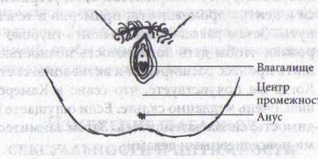 Амора Гуань-Инь - Плеядеанская Тантра: Пробуждение энергии Ба