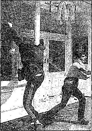 Клаус Вернер, Ганс Вайс - Черная книга корпораций