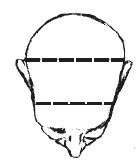 Наоми Тикл - Лицо - зеркало души. Физиогномика для всех