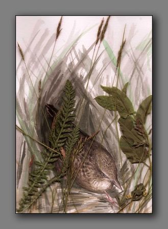 Алексей Петров - Роман с Польшей