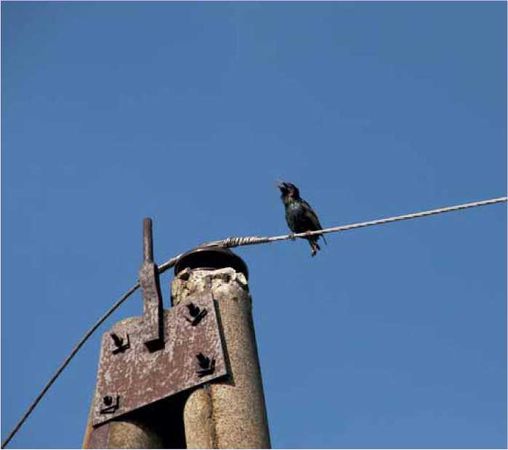 Олег Ермаков - Покинутые или Безумцы