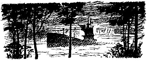 Леонид Платов - Секретный фарватер (Художник В. Бибиков)