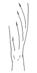 Елена Новиченкова - Омоложение без подтяжек за 30 дней