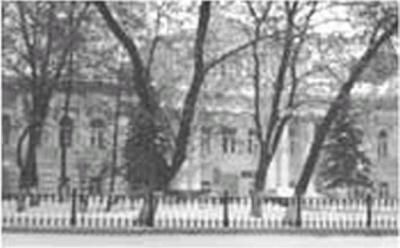 Нина Молева - Московские загадки