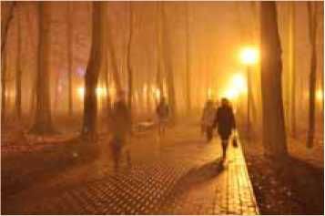 Олег Ермаков - Покинутые или Безумцы