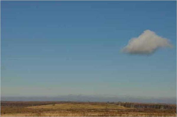 Олег Ермаков - Покинутые или Безумцы