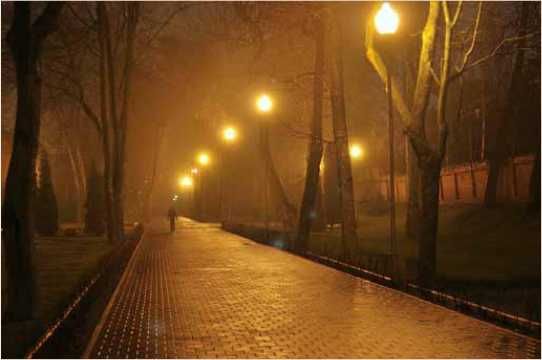 Олег Ермаков - Покинутые или Безумцы