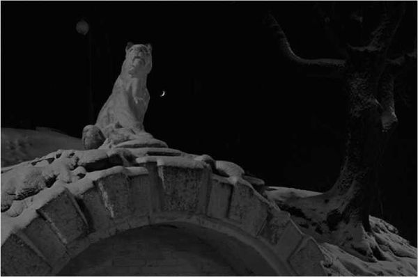 Олег Ермаков - Покинутые или Безумцы