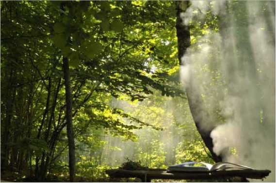 Олег Ермаков - Покинутые или Безумцы