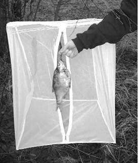 Александр Пышков, Сергей Смирнов - Правильное копчение и вяление рыбы