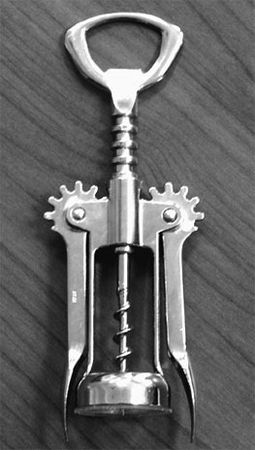 Эрнст Мулдашев - Матрица жизни на Земле