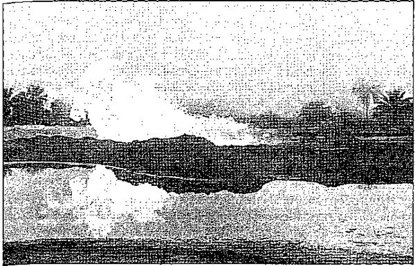 Клаус Вернер, Ганс Вайс - Черная книга корпораций