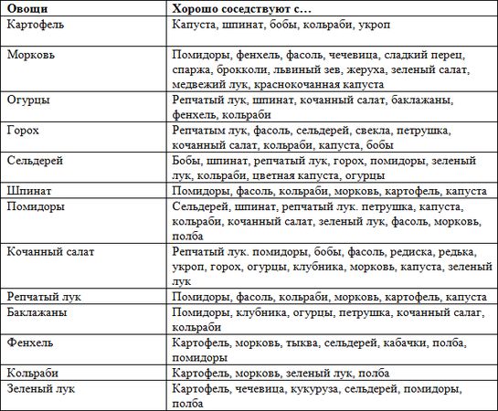 Андрей Кашкаров - Экологически чистые продукты на вашем участке. Практическая...