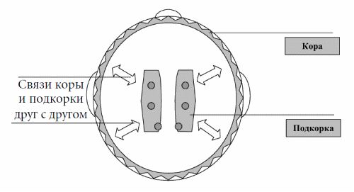Андрей Курпатов - 3 главных открытия психологии. Как управлять собой и своей жизнью