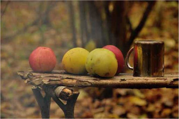 Олег Ермаков - Покинутые или Безумцы