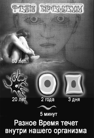 Эрнст Мулдашев - Матрица жизни на Земле