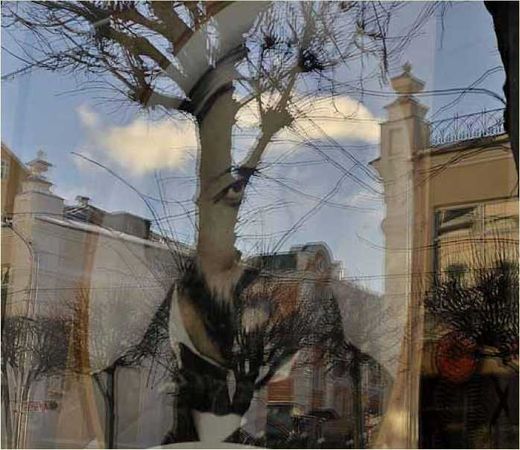 Олег Ермаков - Покинутые или Безумцы