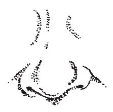 Наоми Тикл - Лицо - зеркало души. Физиогномика для всех