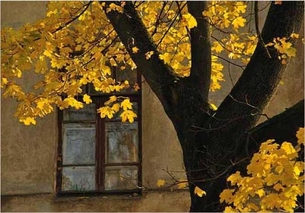 Олег Ермаков - Покинутые или Безумцы