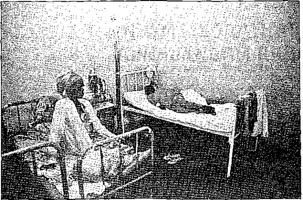 Клаус Вернер, Ганс Вайс - Черная книга корпораций