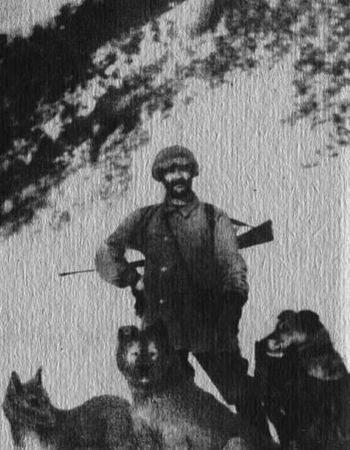 Юрий Янковский - Полвека охоты на тигров