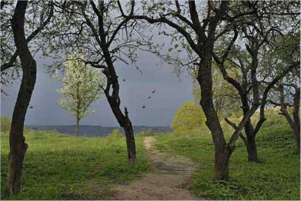 Олег Ермаков - Покинутые или Безумцы