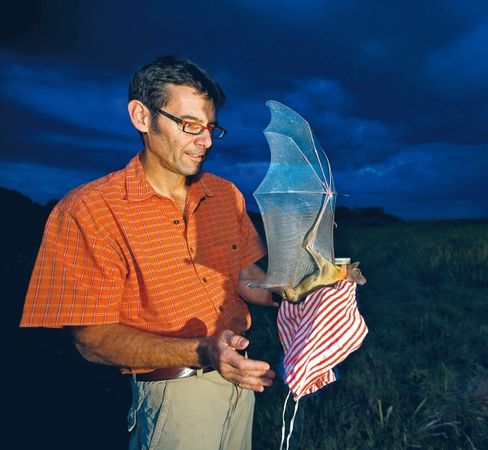 Александр Пшера - Интернет животных. Новый диалог между человеком и природой