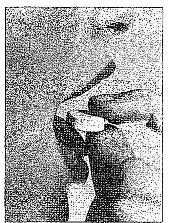 Клаус Вернер, Ганс Вайс - Черная книга корпораций