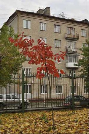 Олег Ермаков - Покинутые или Безумцы